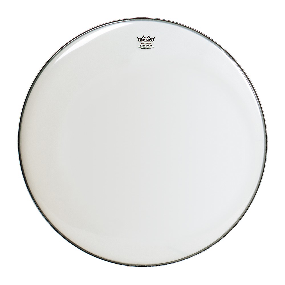 Remo Encore Ambassador Smooth White Bass | Obrázok 1 | eplay.sk