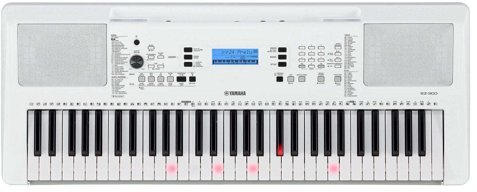 Yamaha EZ-300 | Obrázok 1 | eplay.sk