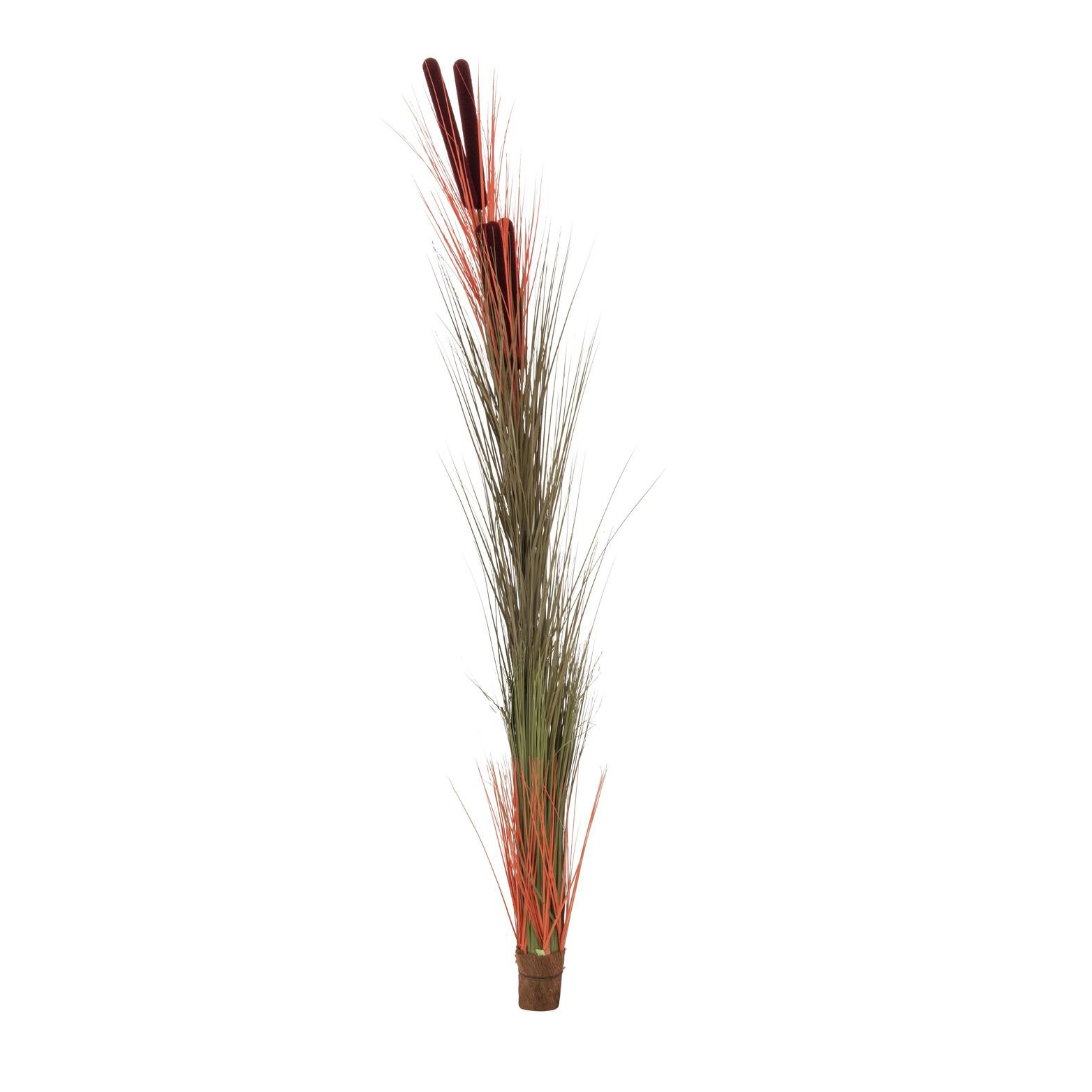 EUROPALMS Vodná tráva, svetlá hnedá, 152cm | Obrázok 1 | eplay.sk