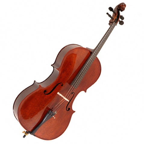 Dowina AC14 Amadeus violončelo | Obrázok 1 | eplay.sk