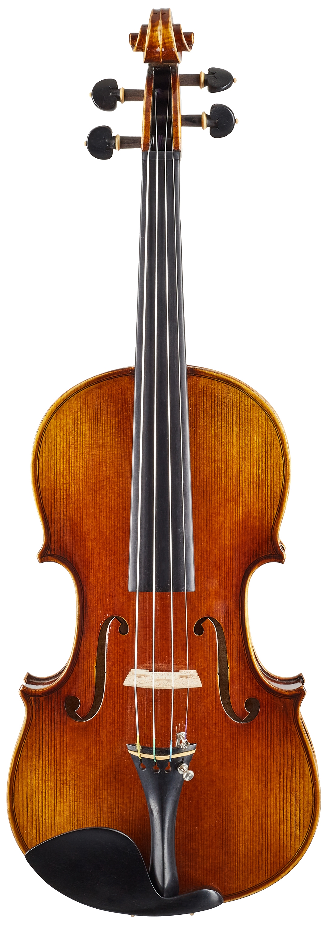 BACIO INSTRUMENTS AVA100S | Obrázok 1 | eplay.sk