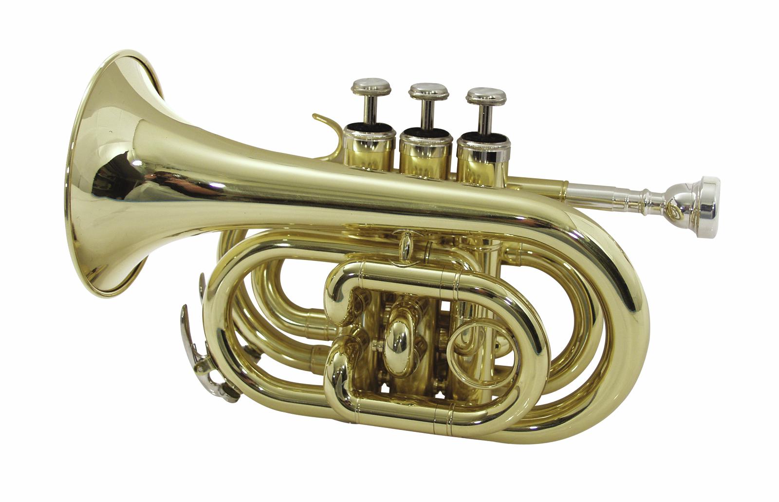 Dimavery TP-300 Gold vrecková trúbka | Obrázok 1 | eplay.sk