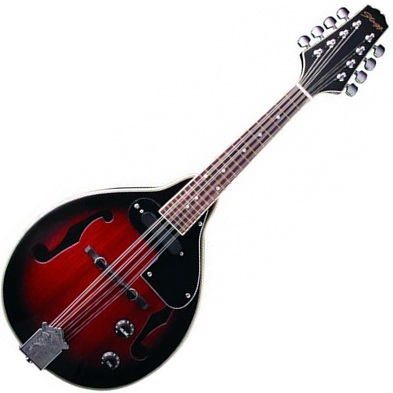Stagg M50 E - mandolína | Obrázok 1 | eplay.sk